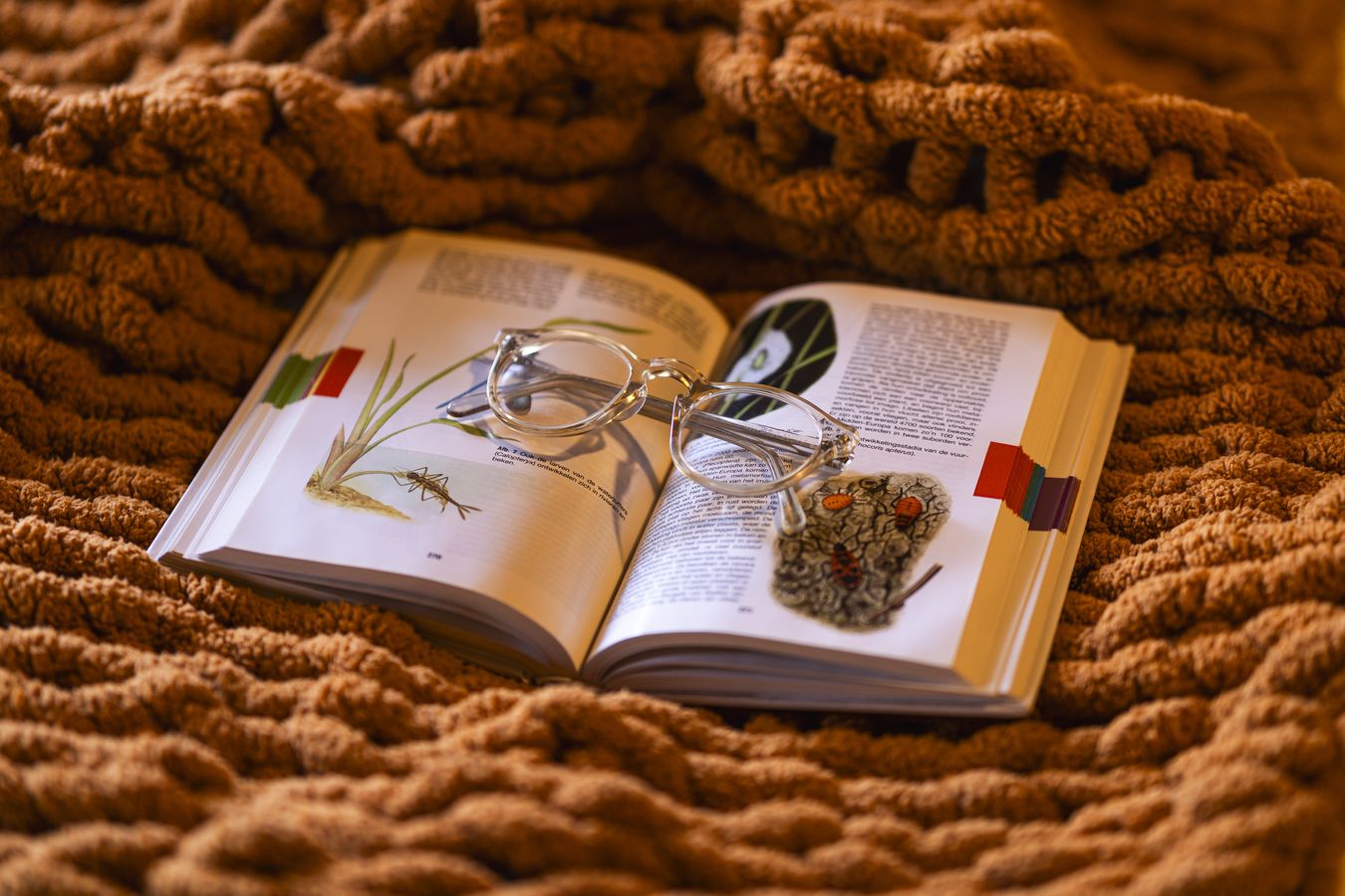 Um livro aberto com os óculos em cima, sobre a manta de tricô cor de telha
