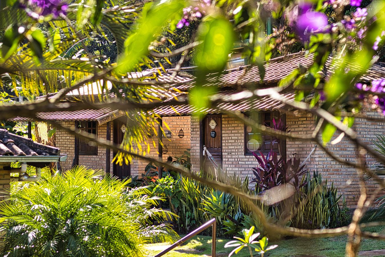 Os chalés das Vovós vistos do jardim, entre galhos floridos