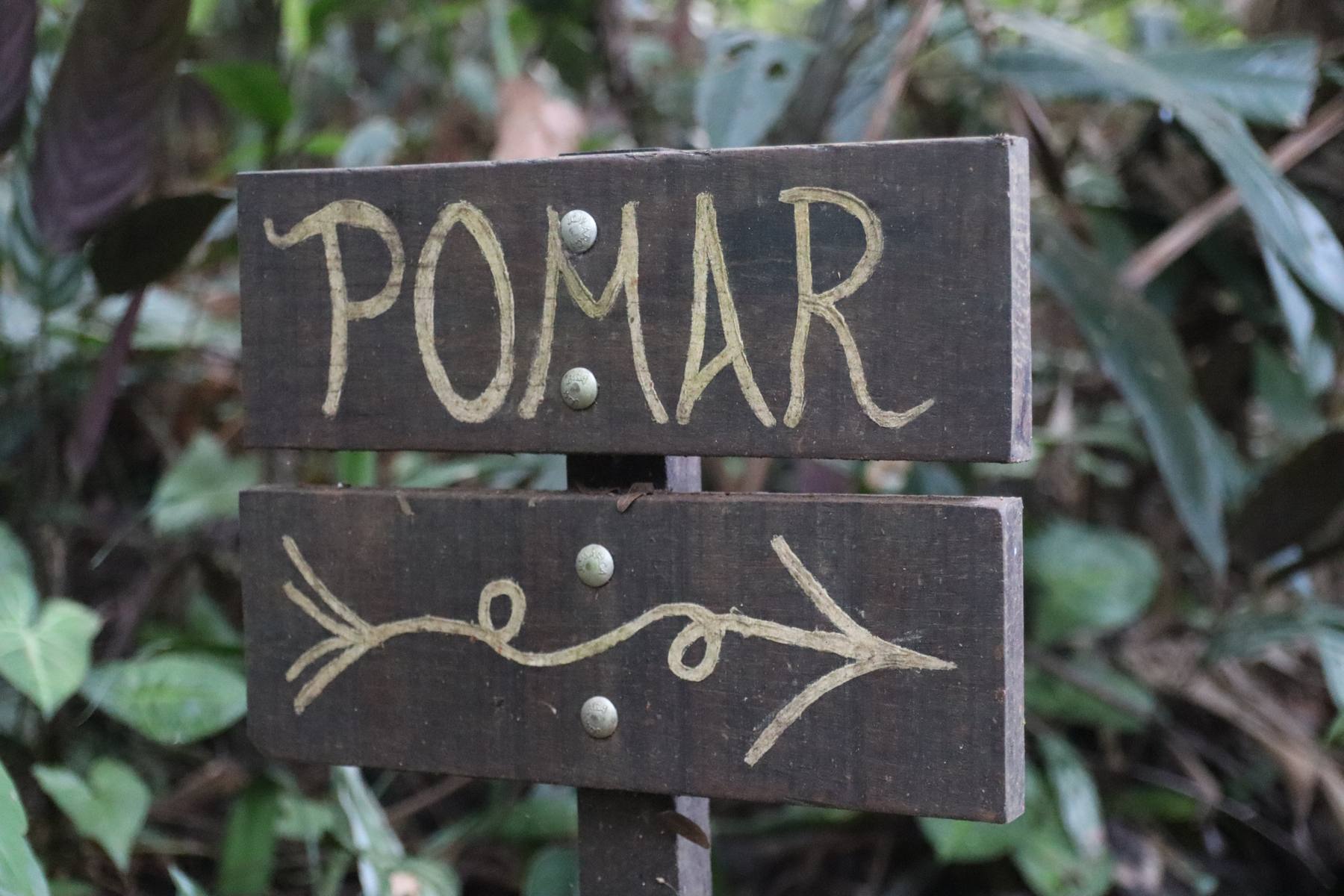 Placa de madeira pintada à mão com a palavra Pomar e uma seta, no meio do verde